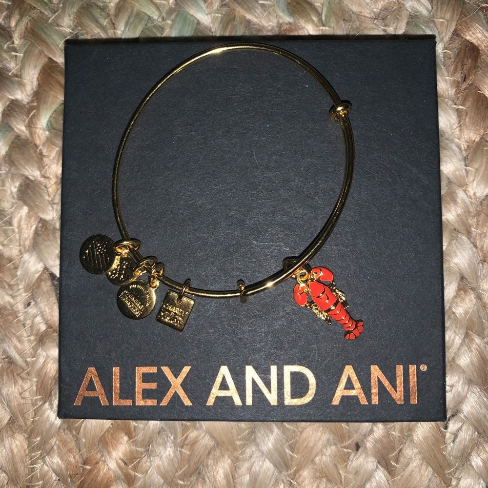 ALEX AND ANI charm bracelet- lobster